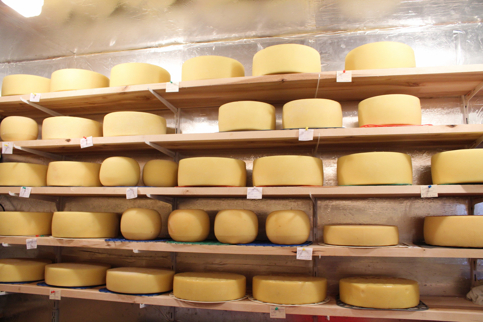 Где Можно Купить Хороший Сыр