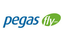 Логотип заказчика туристической компании Пегас