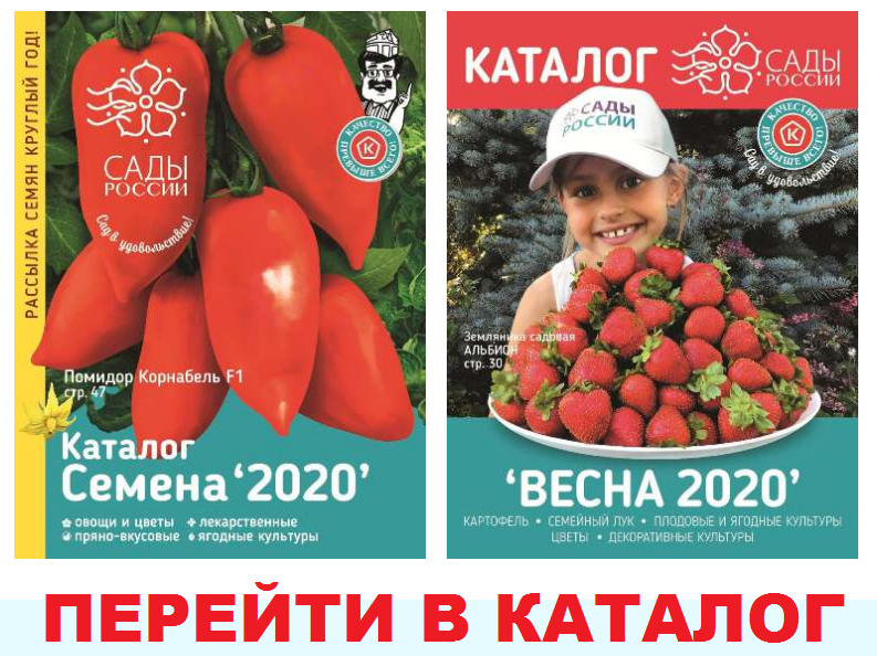 Сады России Интернет Магазин Каталог Семена 2021
