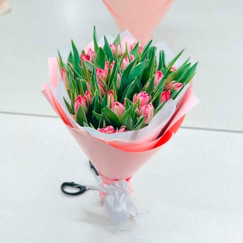 Пионовидные тюльпаны